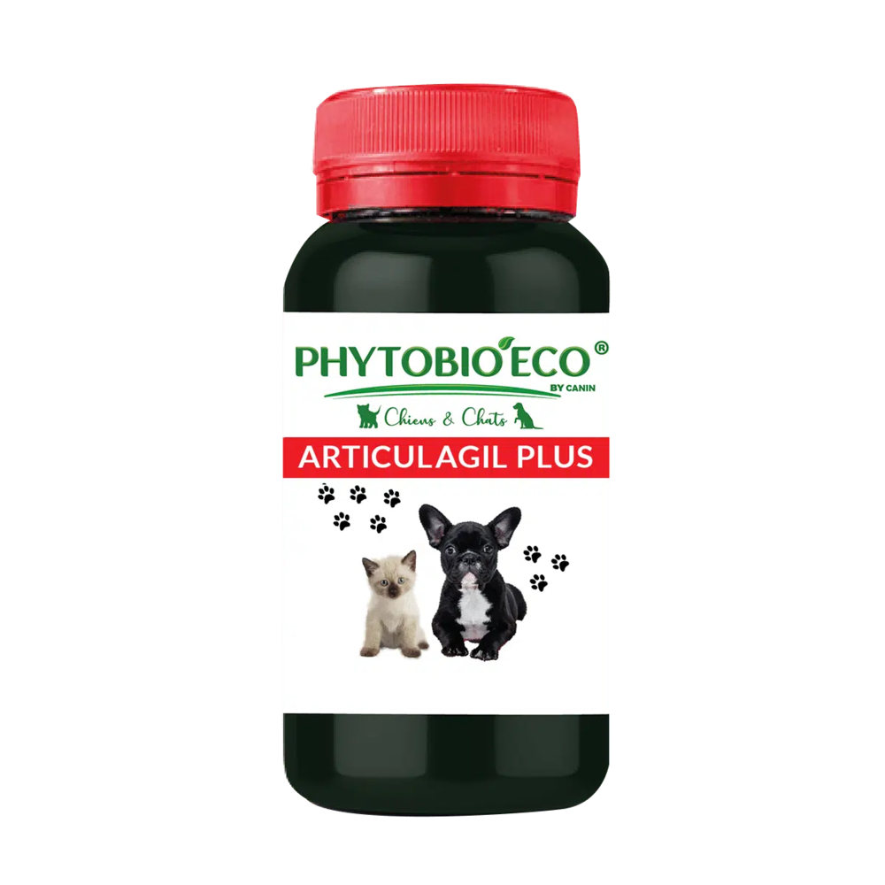 Articulagil