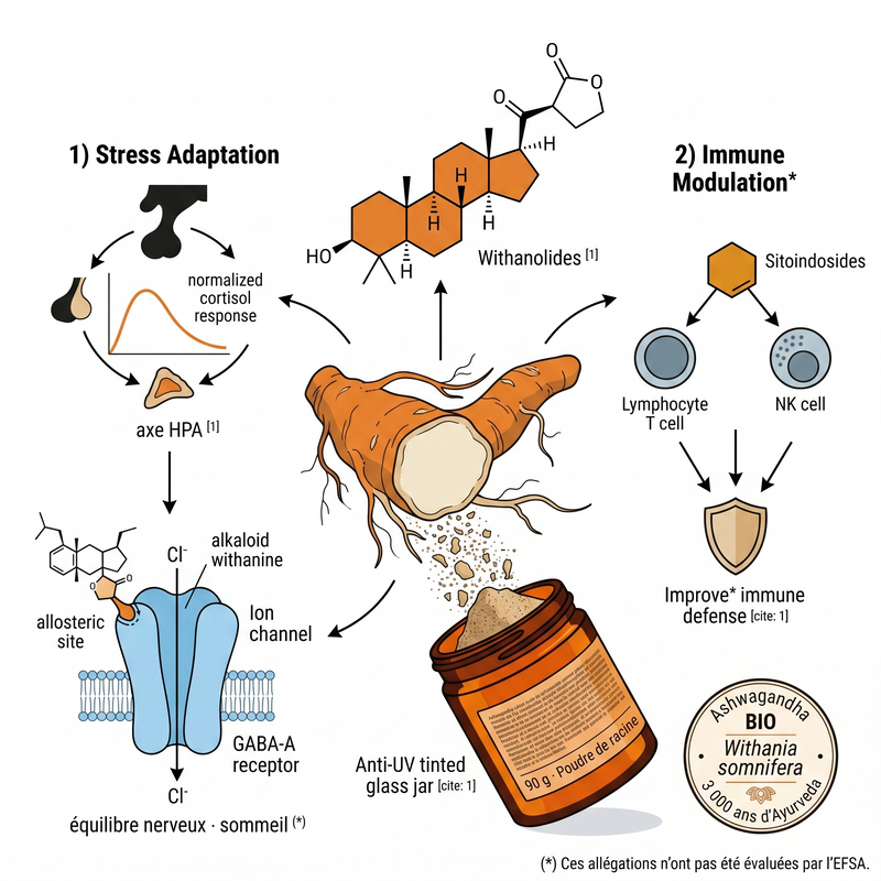 Ashwagandha biologique
