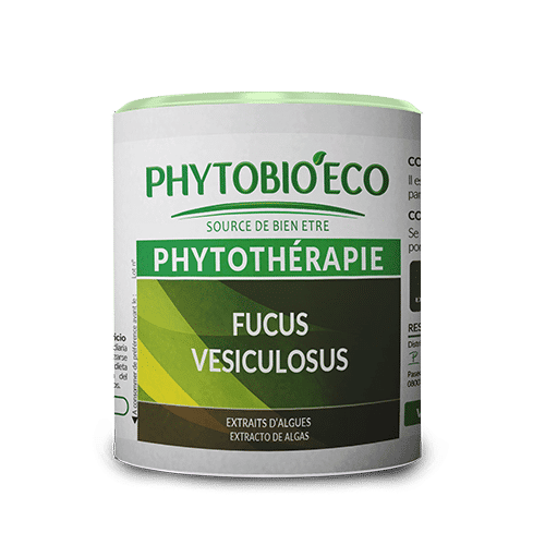 Fucus vésiculosus - 100 capsules