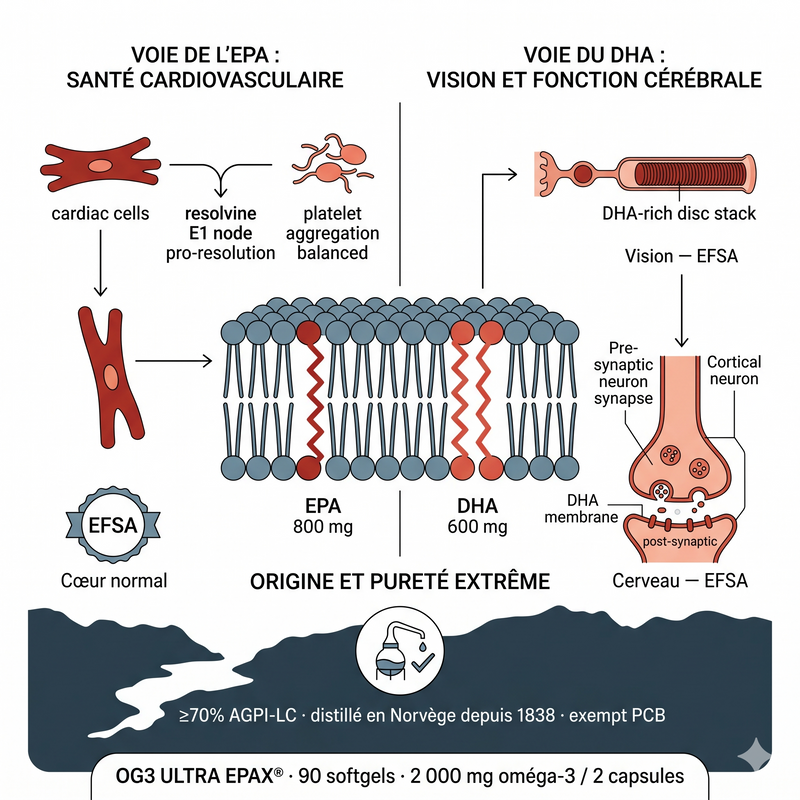OG3 ULTRA EPAX® - Omega 3