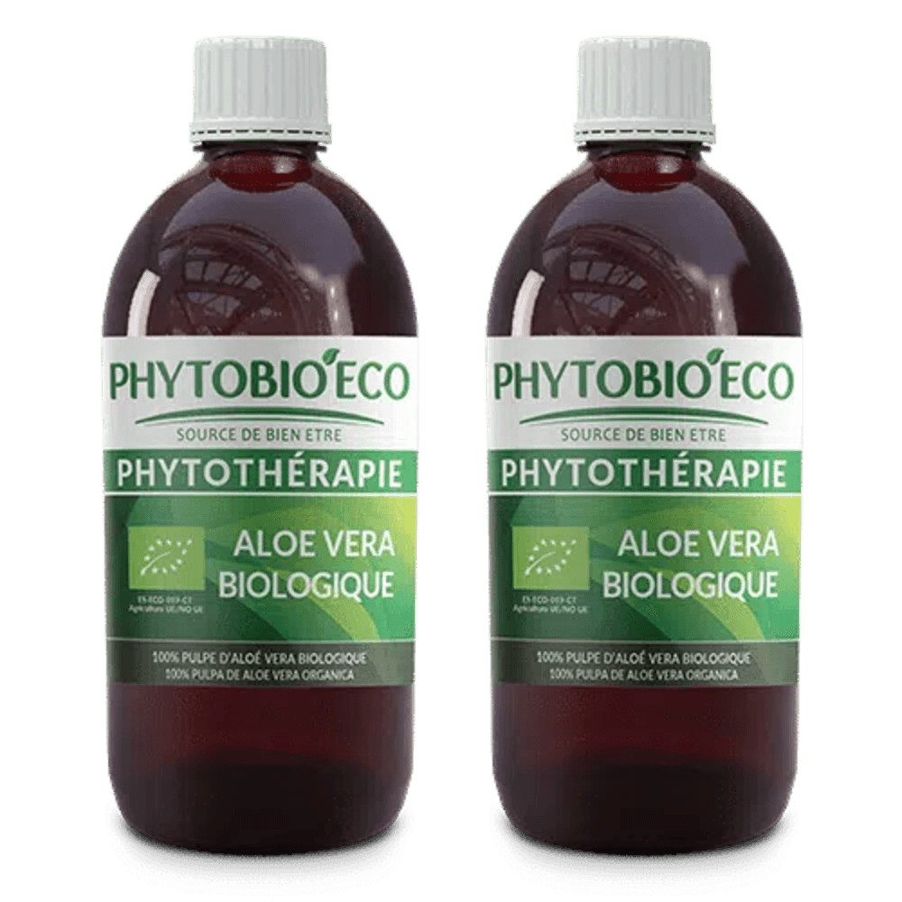 Aloe Vera frais biologique