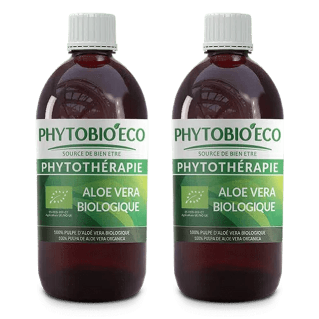 Aloe Vera frais biologique