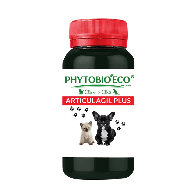 Articulagil 