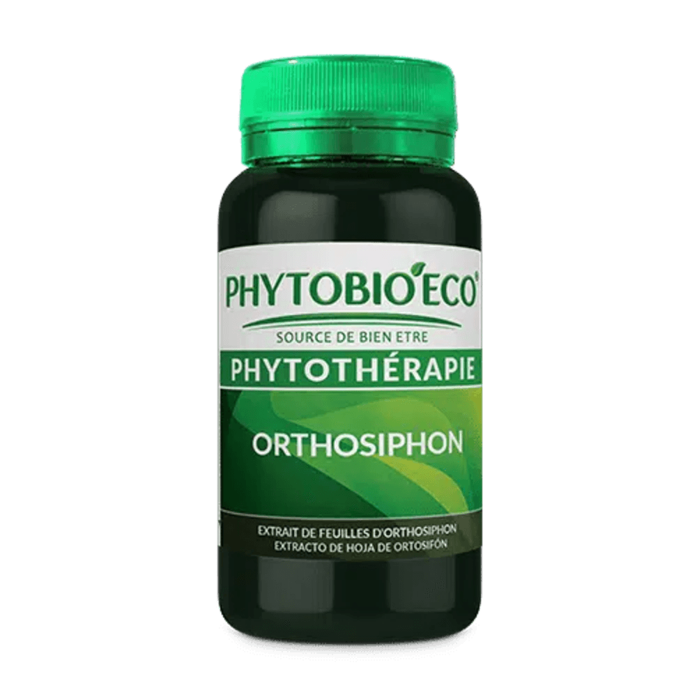 Orthosiphon
