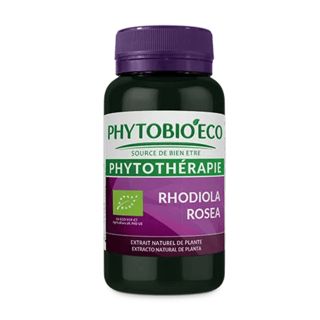 Rhodiola rosea biologique