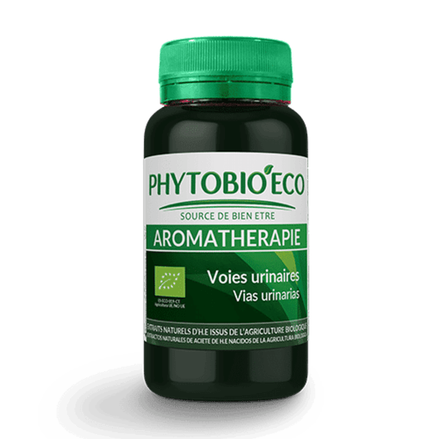 Voies Urinaires
